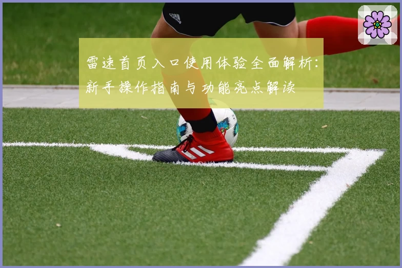 雷速首页入口使用体验全面解析：新手操作指南与功能亮点解读